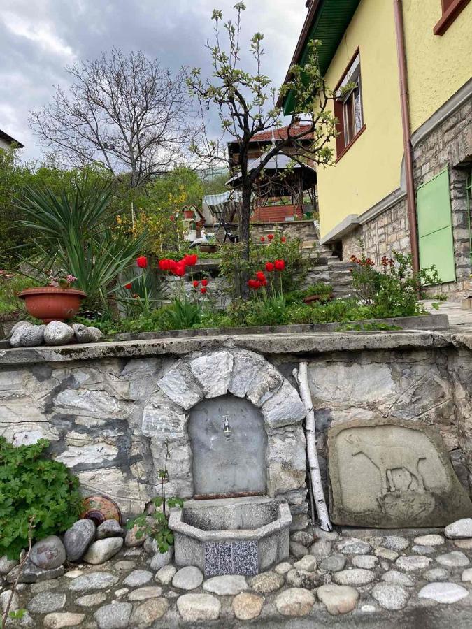 Vila Venera Velingrad Bagian luar foto